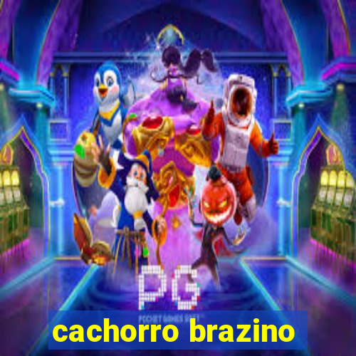 cachorro brazino